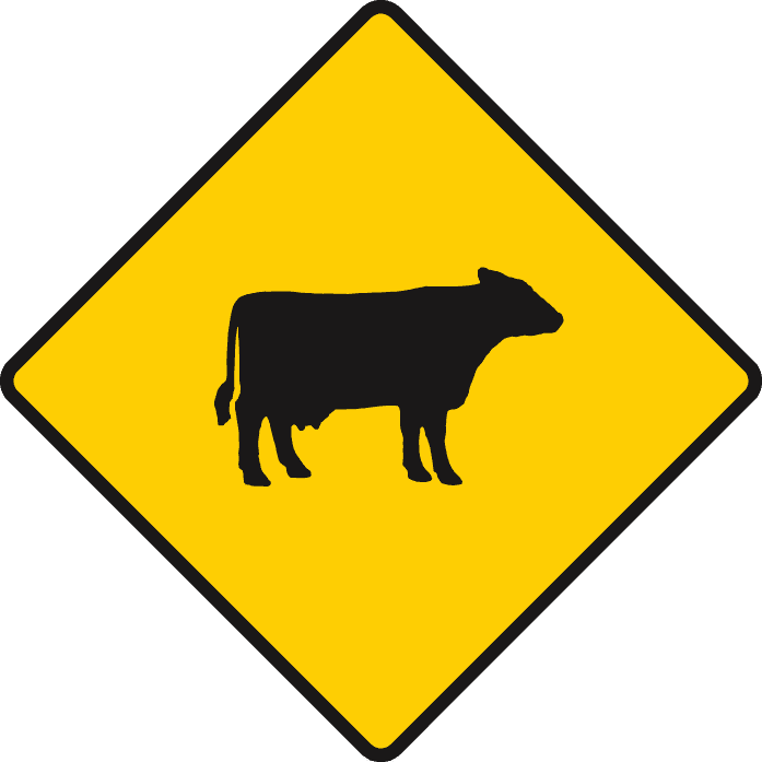 What does this sign mean?